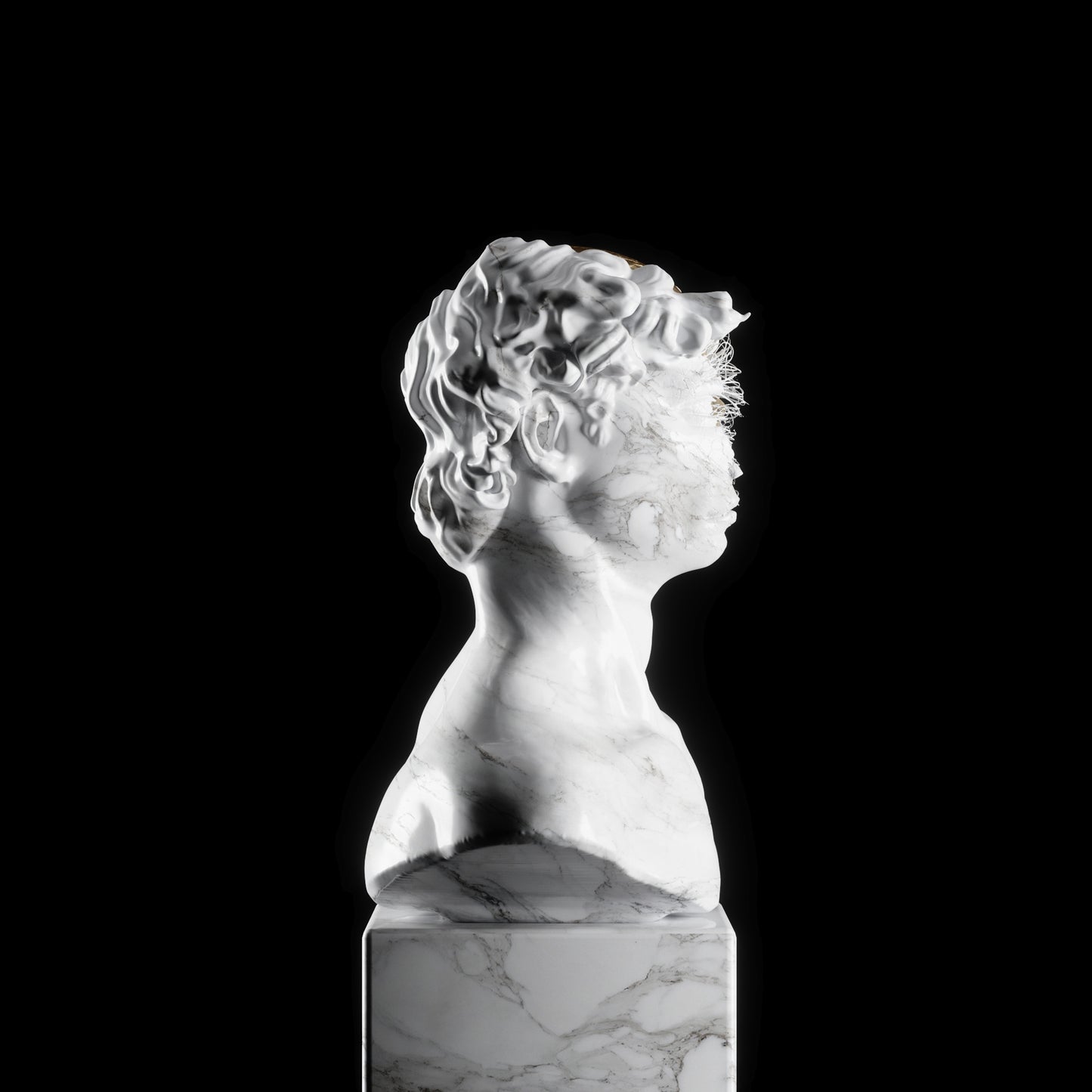 Busto de David de Miguel Angel Abstracto